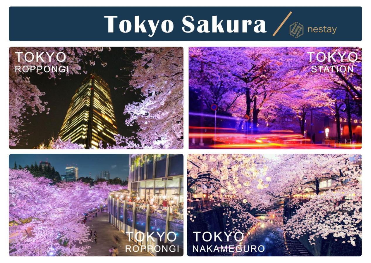 Nestay Inn Tokyo Otsuka 201 エクステリア 写真