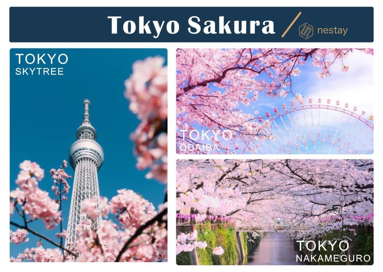 Nestay Inn Tokyo Otsuka 201 エクステリア 写真